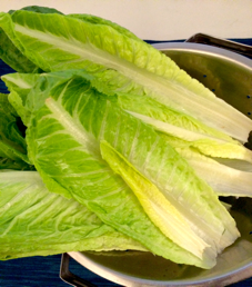 Chopped Salad Lettuce