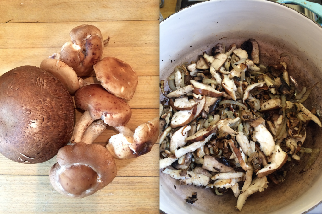 Mushroom Seitan Stroganoff - The Pollan Family