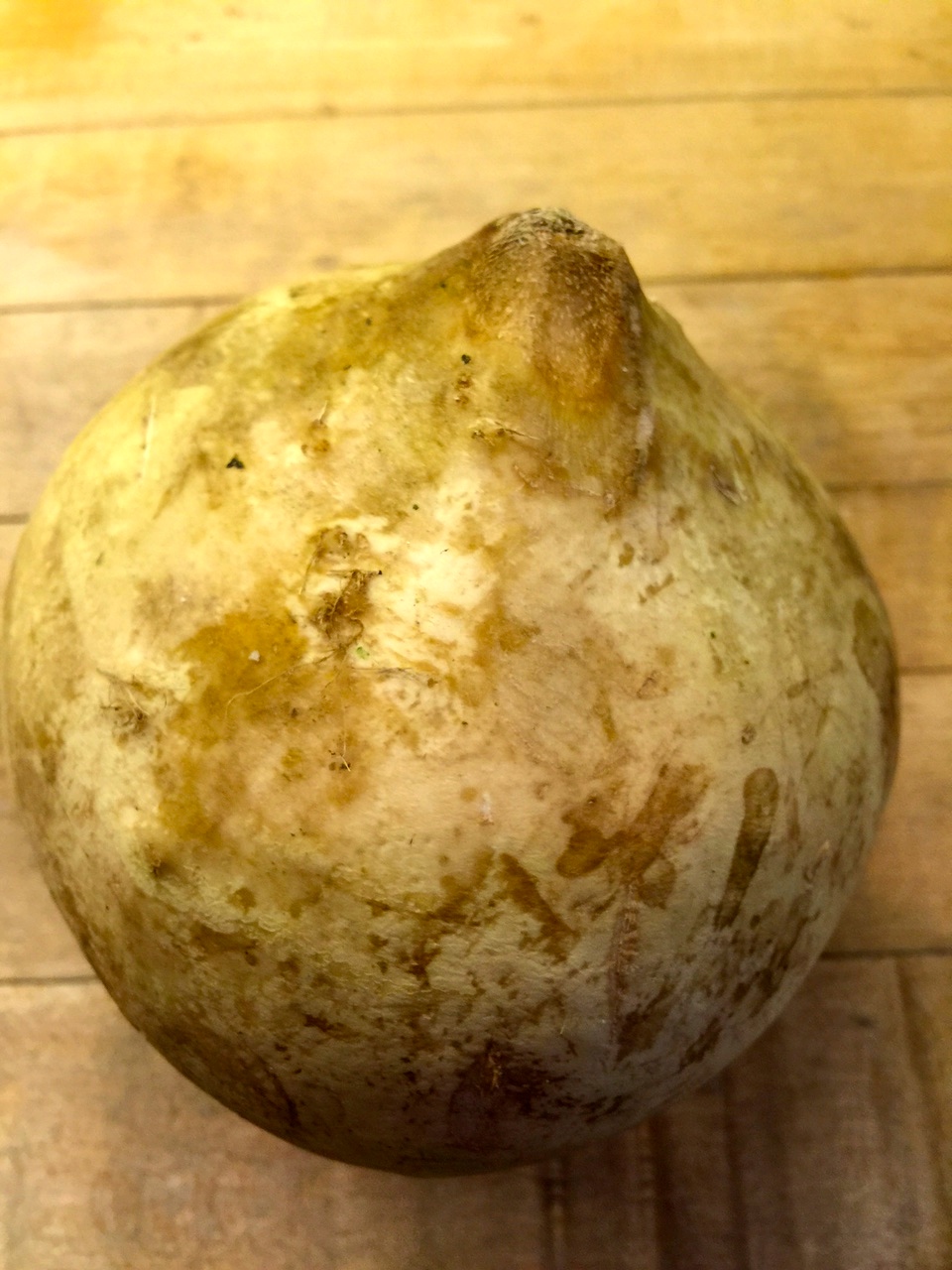 Rutabaga