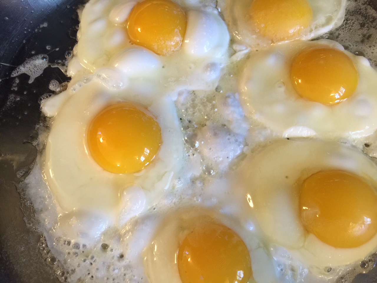 fried eggs